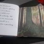 Drawn to Nature: Encounters With Irish Nature (Hardcover) Image 4