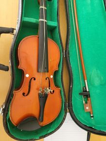 violin