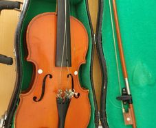 violin