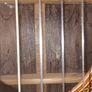 Classical Guitar Image 5