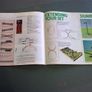 Lima model railways 1978/79 catalogue Image 4