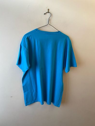 Blue t-shirt (large)