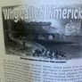 Limerick Generations 1900-1909 Image 7
