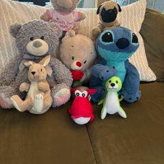 Free teddies look for a home