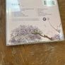Eels - Tomorrow Morning Image 2