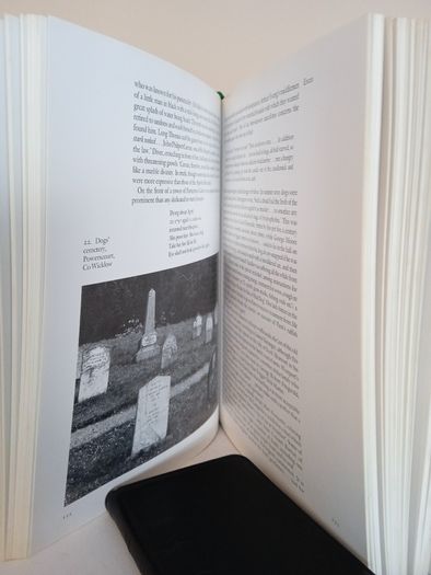 The Irish Country House: A Social History by Peter Somerville-Large (PT129)
