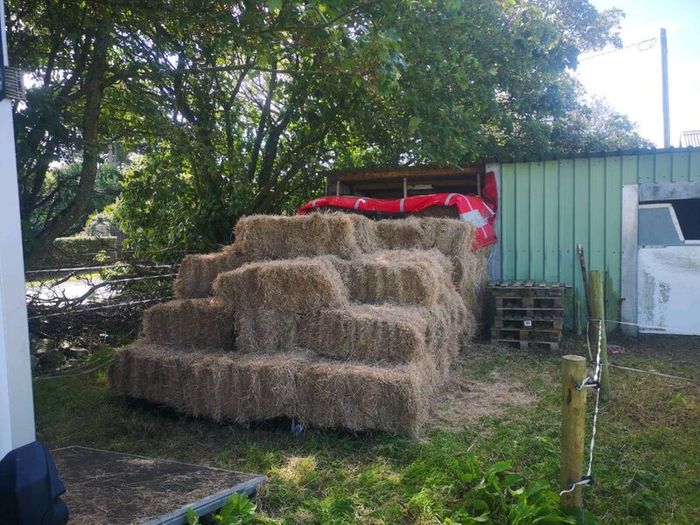 Hay. Small square bales.