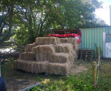 Hay. Small square bales.