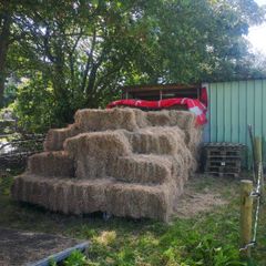 Hay. Small square bales.