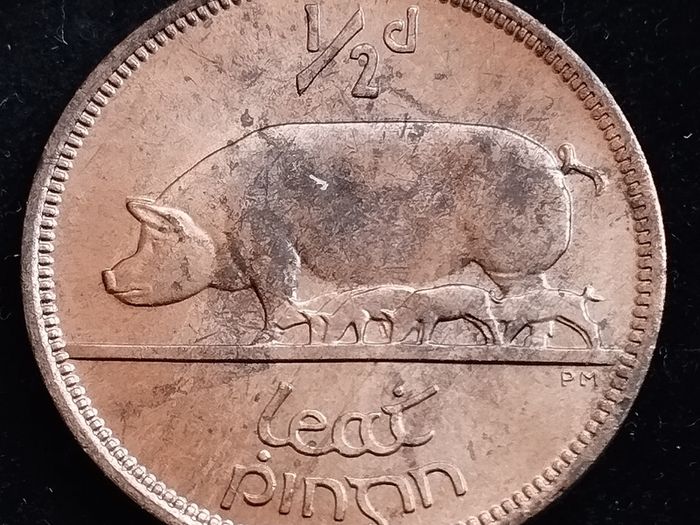 Ireland - 1966 - Half Penny - Sow - UNC - KM.10 - [2029]