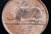 Ireland - 1966 - Half Penny - Sow - UNC - KM.10 - [2029]