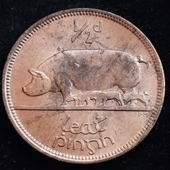 Ireland - 1966 - Half Penny - Sow - UNC - KM.10 - [2029]