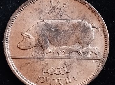 Ireland - 1966 - Half Penny - Sow - UNC - KM.10 - [2029]