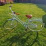 Bike Vintage Lite (Sage) 42cm Image 3