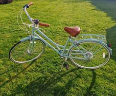 Bike Vintage Lite (Sage) 42cm
