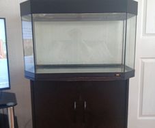 Aquarium
