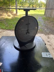 Weighing Scales, Salter Model 250