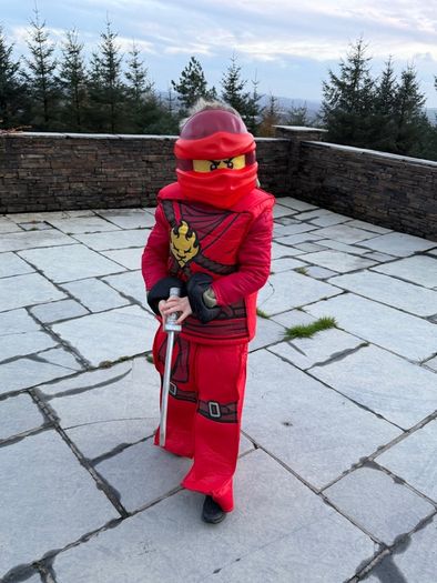 Ninjago Lego Costume