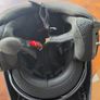 Harley Davidson Outrush R Modular Bluetooth Helmet Matte Black Image 4