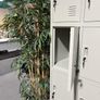 12-Compartment Locker - Grey (NEW) - Protected Image 5