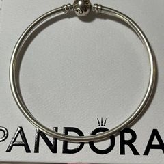 Pandora Moments Bangle-like new