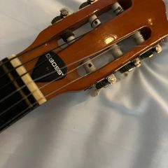 Classic Acoustic guitar