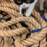 Sisal Manila decking rope Image 4