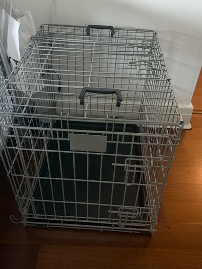 dog gate