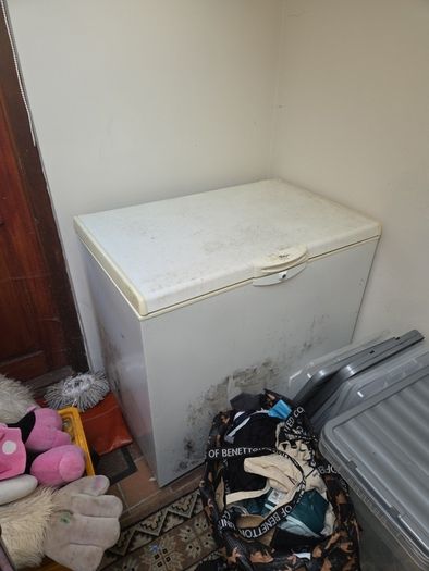Chest Freezer