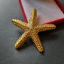 Textured Gold Tone Starfish Brooch - Large Nautical Sea Star Pin - Gold Tone Marine Coastal Jewelry Image 2