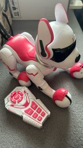 Zoey Robo Dog