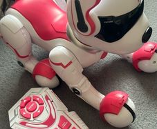 Zoey Robo Dog