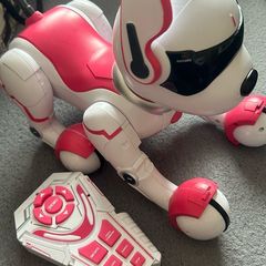 Zoey Robo Dog
