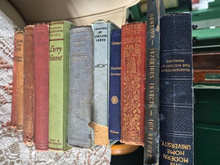11 Vintage old books