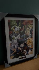 Dragon Ball Z Frame