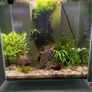 fluval edge 46l Image 2