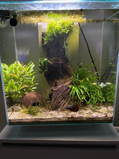 fluval edge 46l
