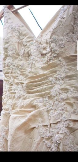 La Sposa Wedding Dress Champagne
