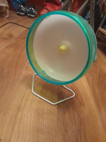 hamster exercise wheel
