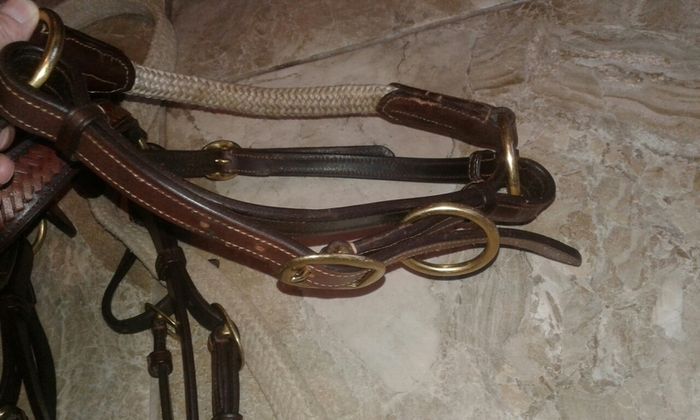 Bridle /bitless