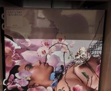 Kali Uchis - Orquideas Vinyl (Urban Outfitters Pressing)