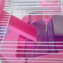 Hamster cage Image 2