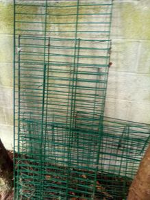 Green.  Security. Fencing