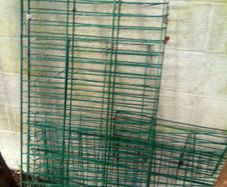 Green.  Security. Fencing