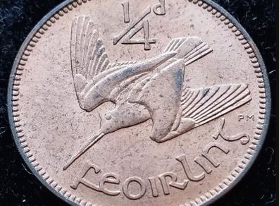 [#120] - Ireland 1959 | ERROR | Irish 1/4d | Farthing | Woodcock | KM.9 | UNC