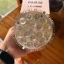 54W Full Spectrum LED Grow Light Bulb E27 Brand New Image 3
