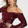 Lavish Alice Velvet Mini Dress Image 2