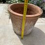 Avoca Pots Multiple Pairs Image 8