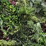 Artificial Wall Grass 1m x 1m Image 3