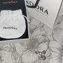 Pandora Image 2